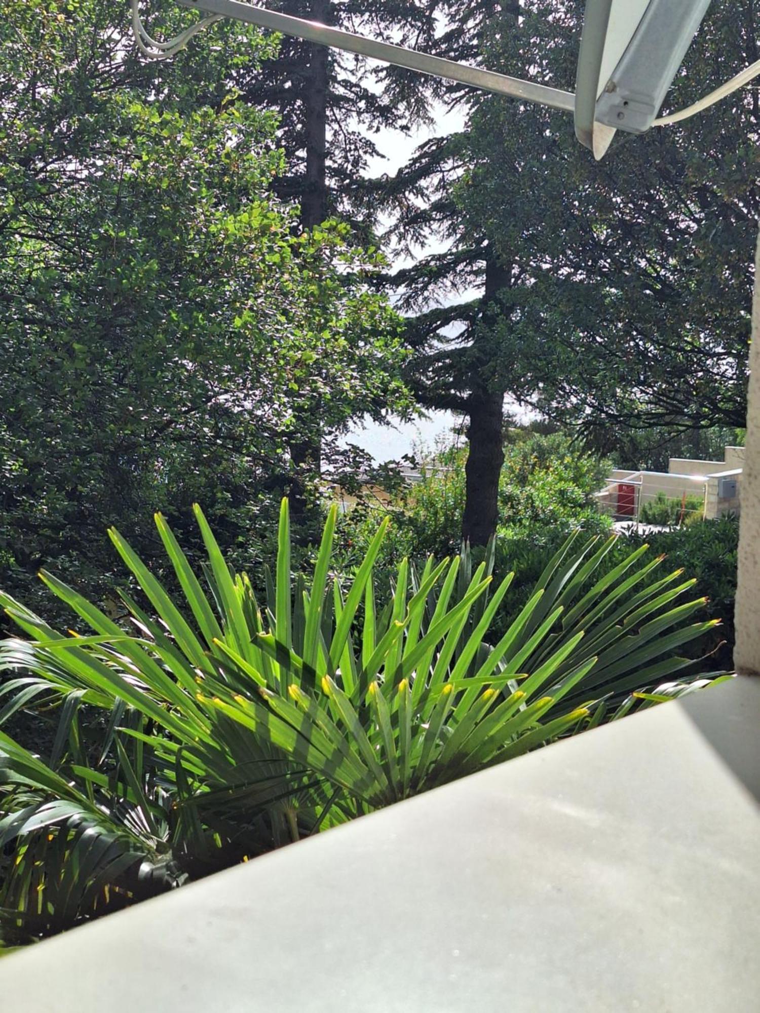 Villa Haus Niko Senj  Bagian luar foto